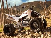 2009 Yamaha YFM250R photo